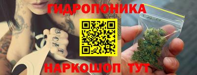 дживик Аша