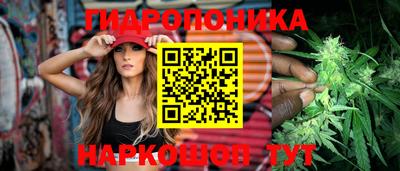дживик Аша