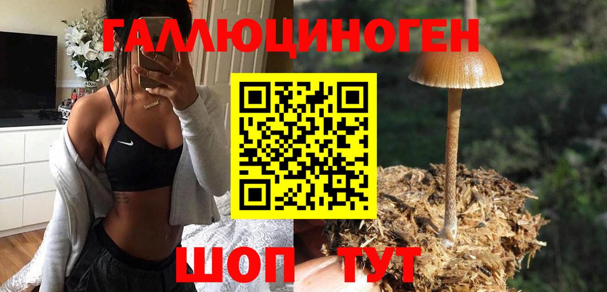 даркнет сайт  Галлюциногенные грибы прущие грибы  Вход с VPN  Прокопьевск 